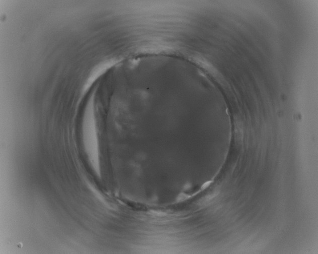 X0000076450626200610202335