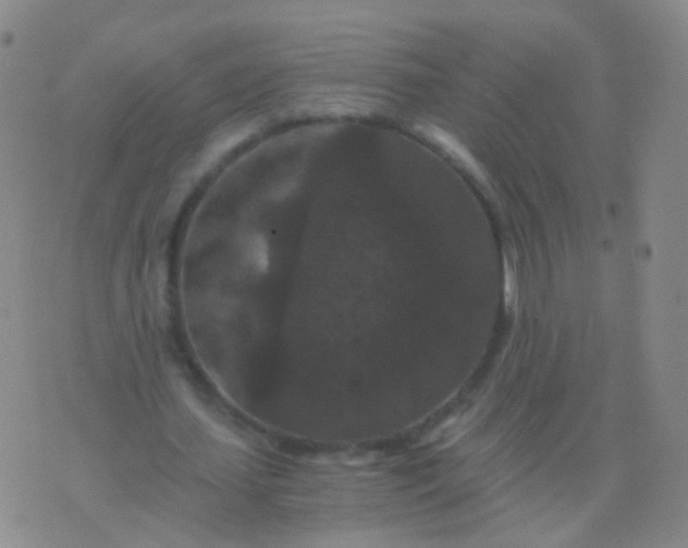 X0000076450627200610202335