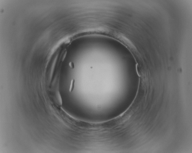 X0000076450628200610202335