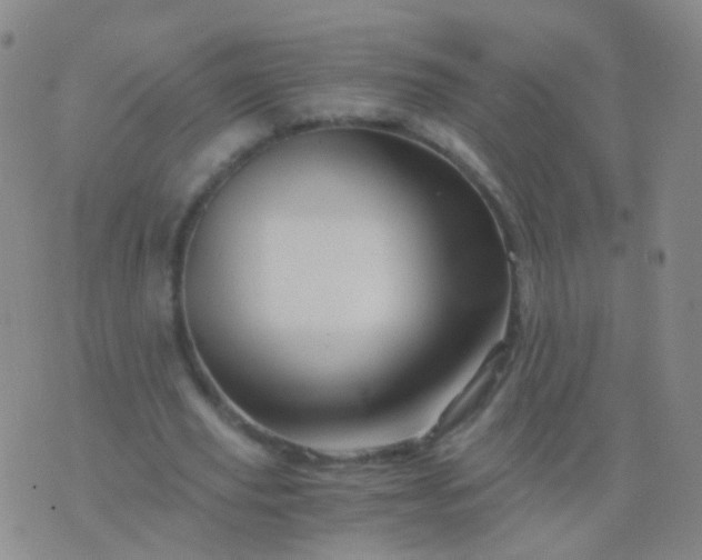 X0000076450629200610202335