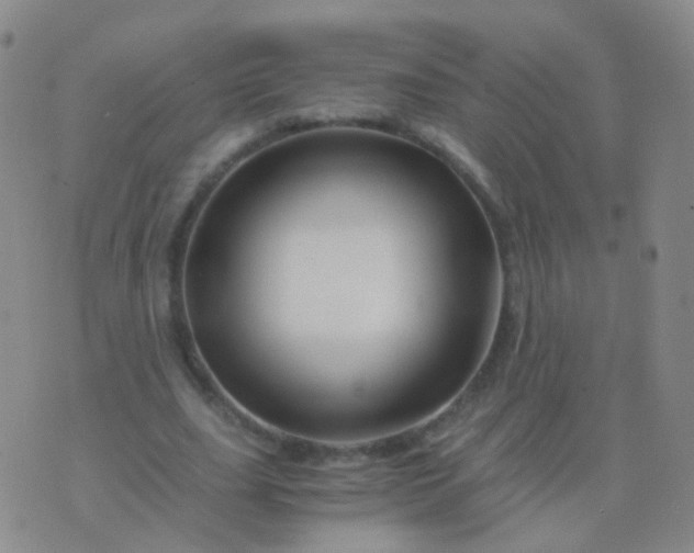 X0000076450631200610202335