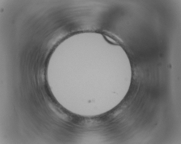 X0000076450632200610202335