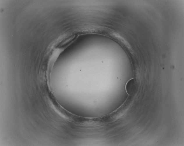 X0000076450633200610202335