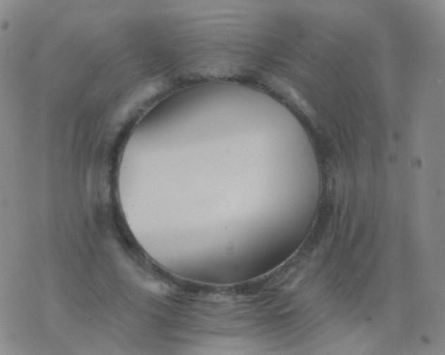 X0000076450635200610202336