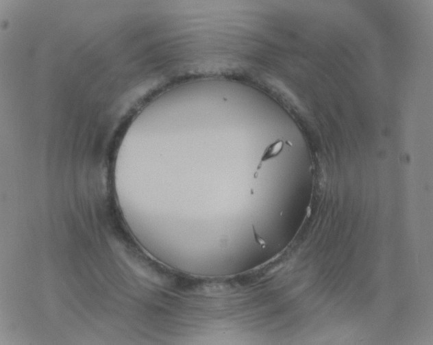 X0000076450636200610202336