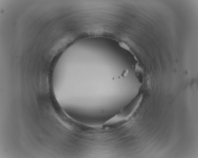 X0000076450638200610202336