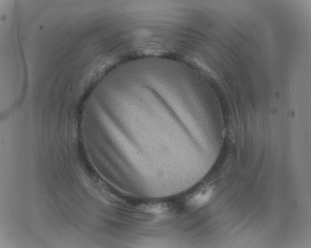 X0000076450639200610202336