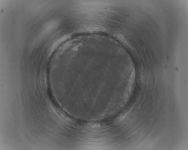 X0000076450640200610202336