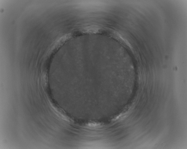 X0000076450641200610202336