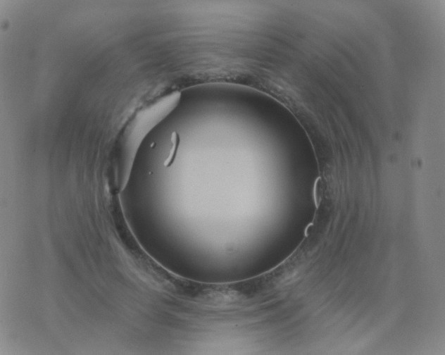 X0000076450642200610202336