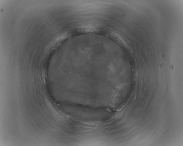 X0000076450643200610202336