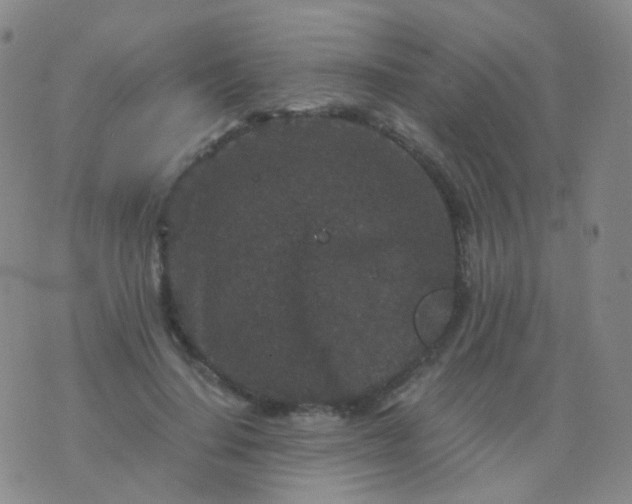 X0000076450644200610202336