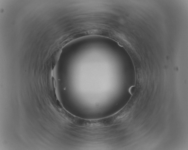 X0000076450645200610202336