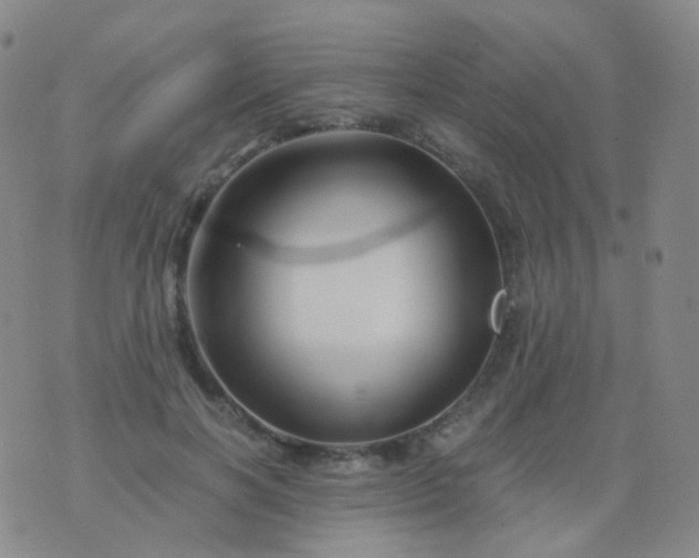 X0000076450646200610202336