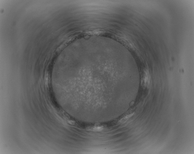 X0000076450647200610202336