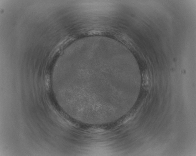 X0000076450648200610202336