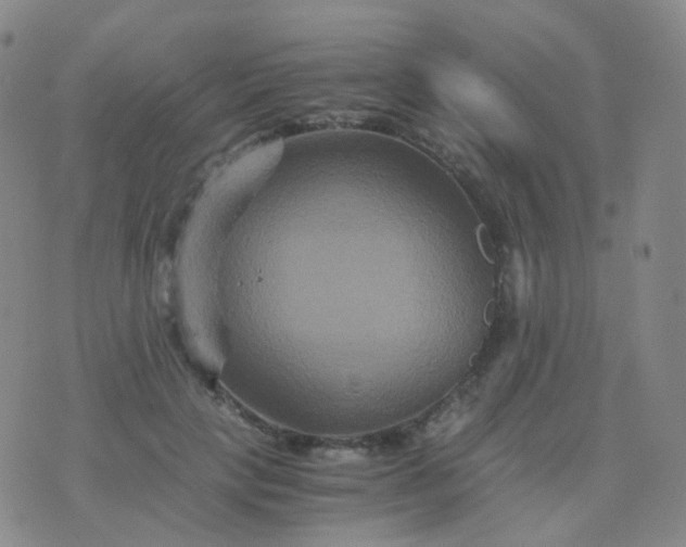 X0000076450649200610202336