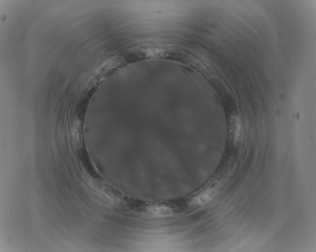 X0000076450650200610202336