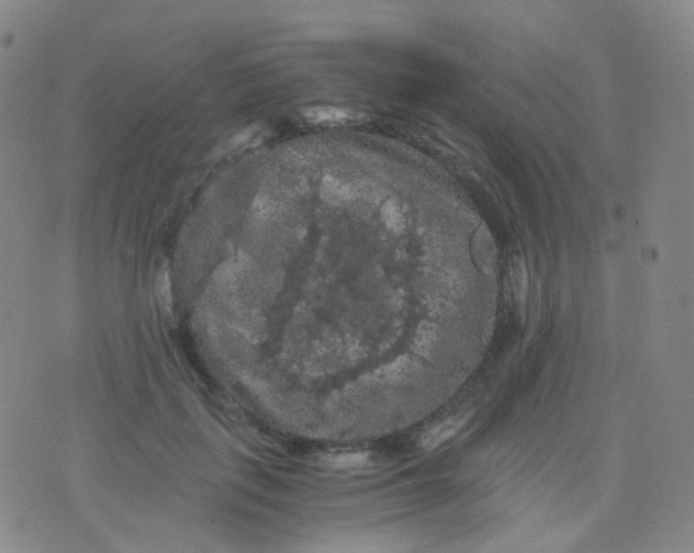 X0000076450651200610202336