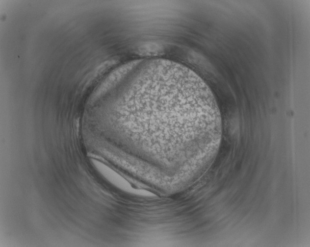 X0000076450652200610202336