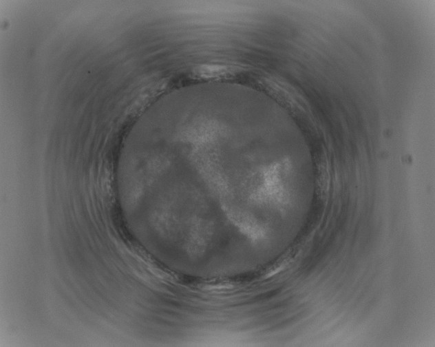 X0000076450653200610202336