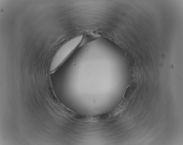 X0000076450656200610202336