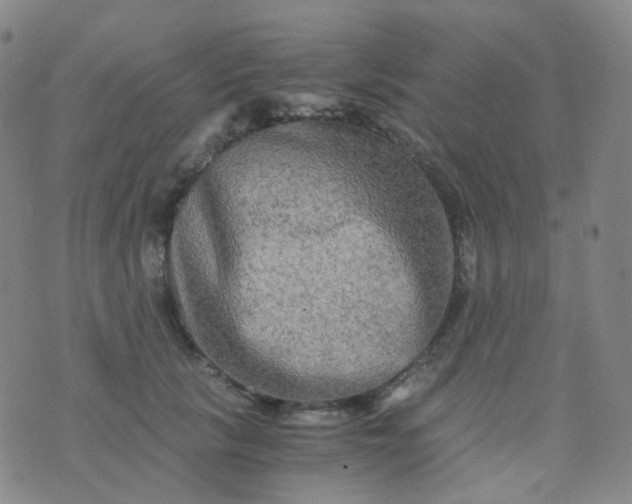 X0000076450657200610202336