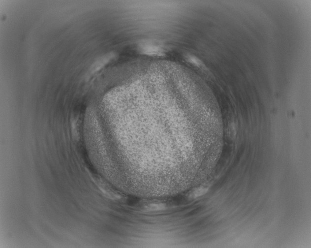 X0000076450658200610202336