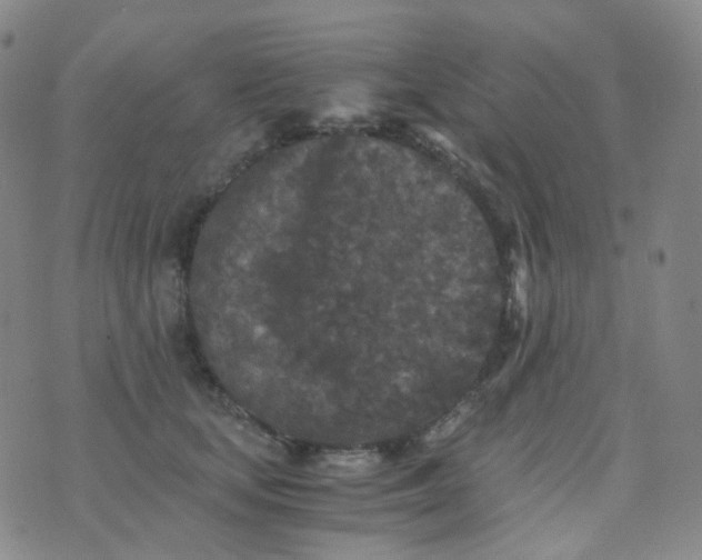 X0000076450659200610202336