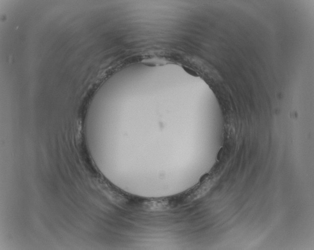 X0000076450660200610202336