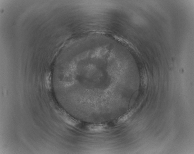 X0000076450661200610202336