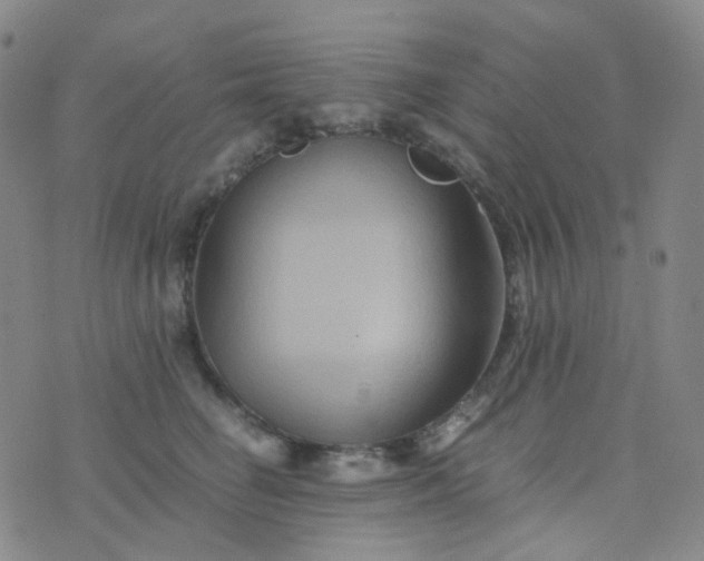 X0000076450662200610202336