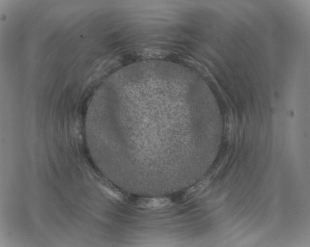 X0000076450663200610202336