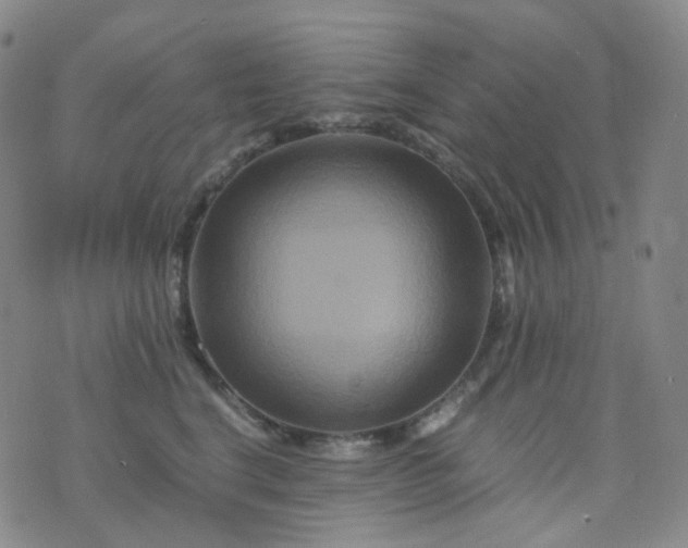 X0000076450664200610202336