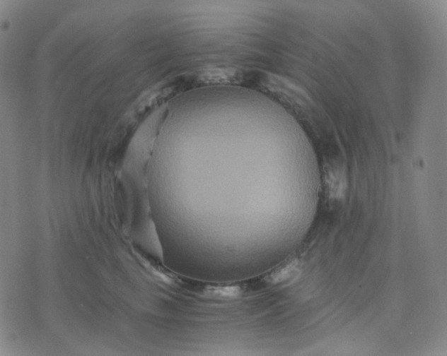 X0000076450665200610202336