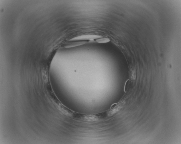 X0000076450666200610202336