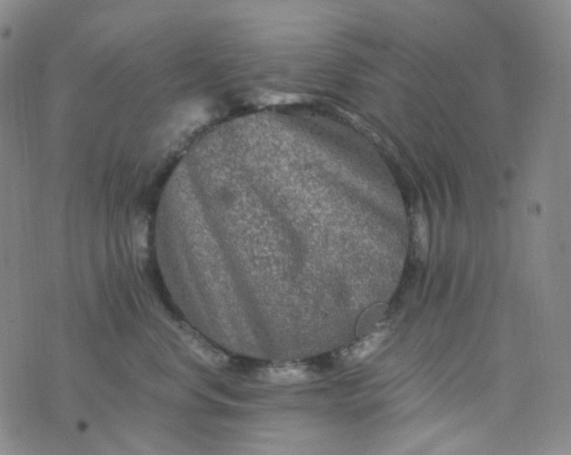 X0000076450668200610202336