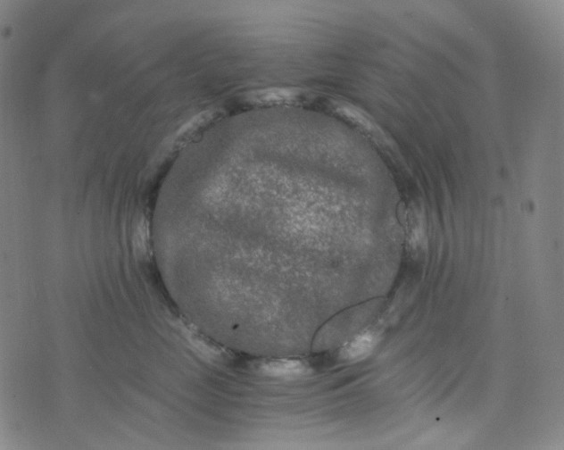 X0000076450669200610202336