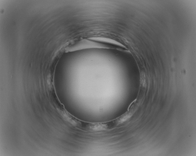 X0000076450670200610202336