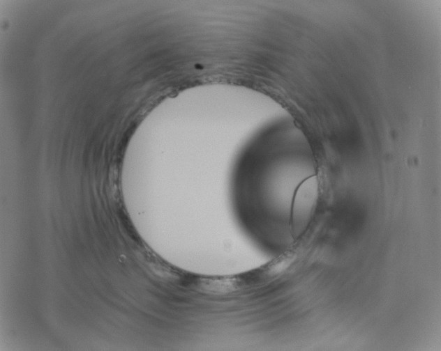 X0000076450671200610202336