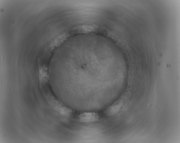 X0000076450672200610202336