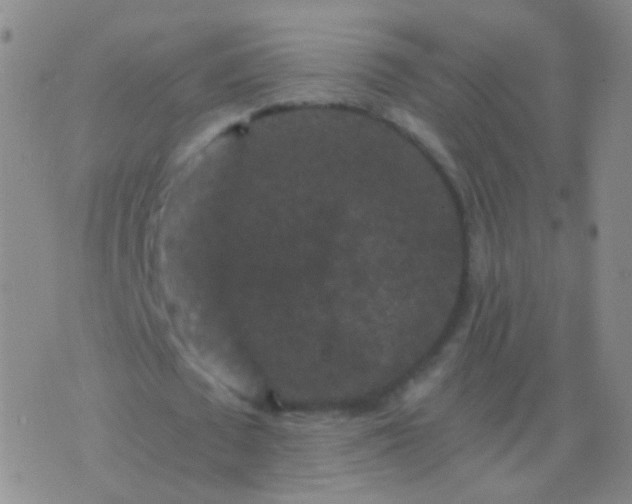 X0000076450673200610202335