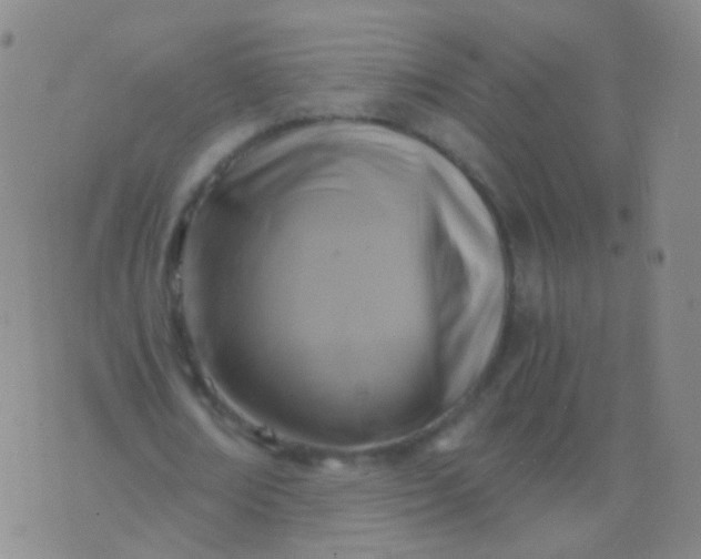 X0000076450674200610202335