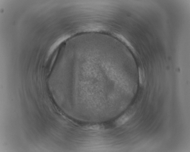 X0000076450675200610202335