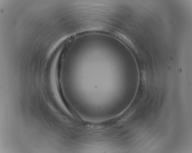 X0000076450676200610202335