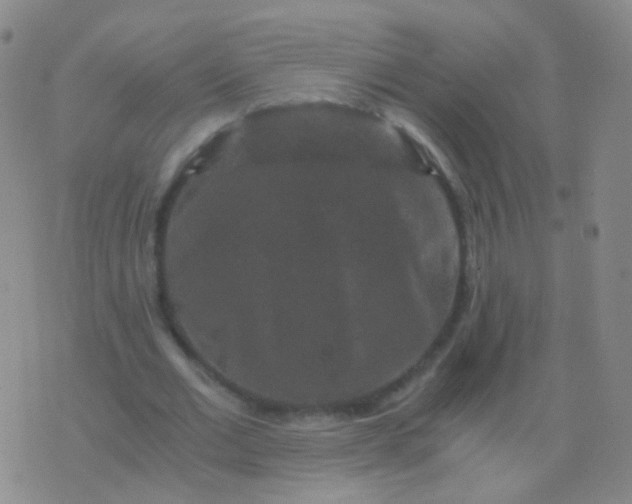 X0000076450677200610202335