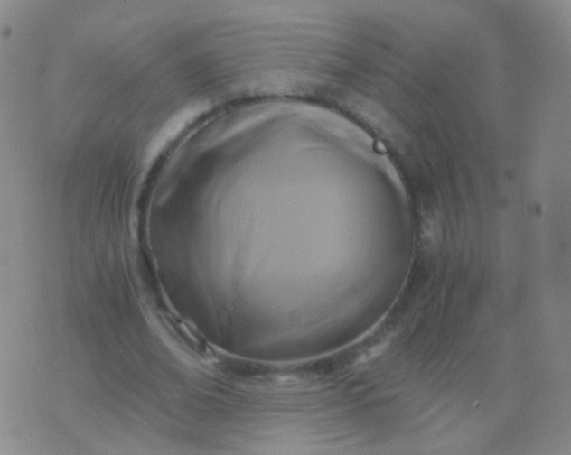 X0000076450678200610202335