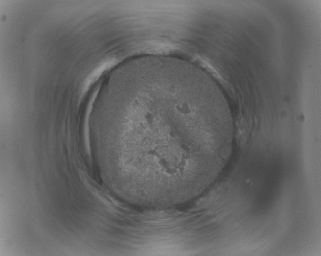 X0000076450679200610202335