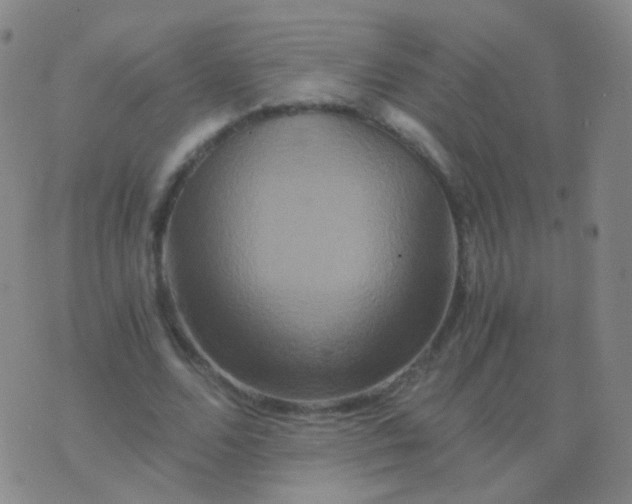 X0000076450680200610202335