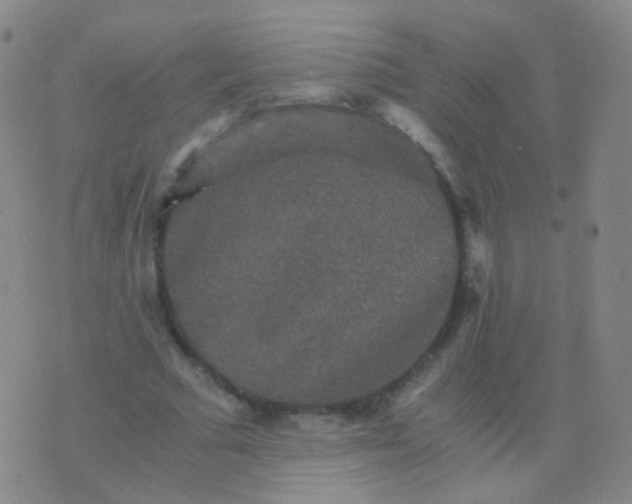 X0000076450681200610202335